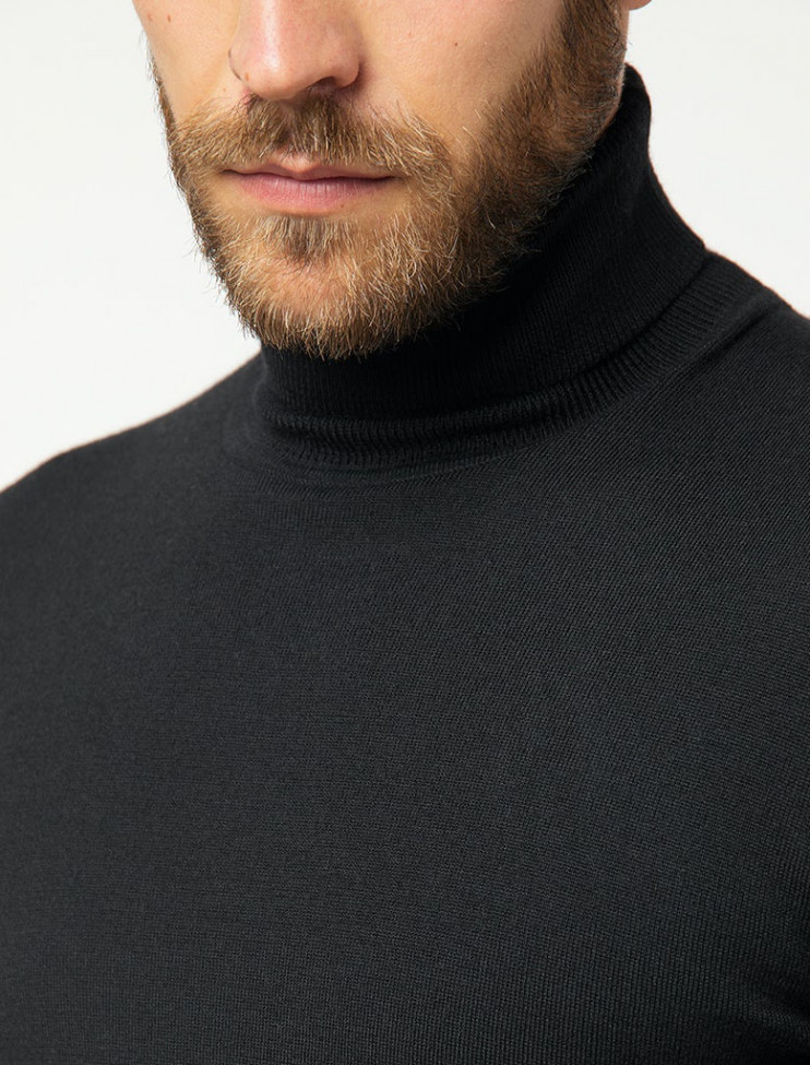 Мужская водолазка Pierre Cardin Voyage 55603 5 495 руб.  5 495 руб. 