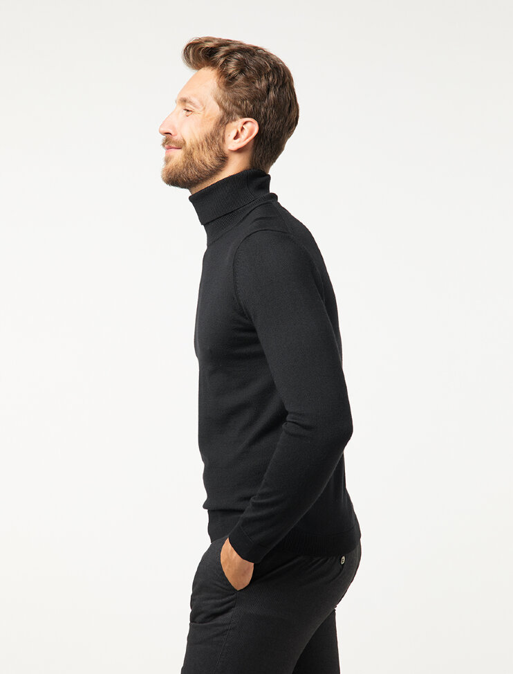 Мужская водолазка Pierre Cardin Voyage 55603 5 495 руб.  5 495 руб. 