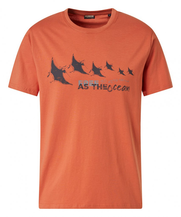 Мужская футболка короткий рукав Pioneer P1 60085.2000/3209 2 790 руб. 2 790 руб.