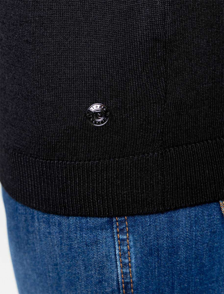 Мужской джемпер Pierre Cardin Voyage 55600/000/02538/2000 8 243 руб. 8 243 руб.