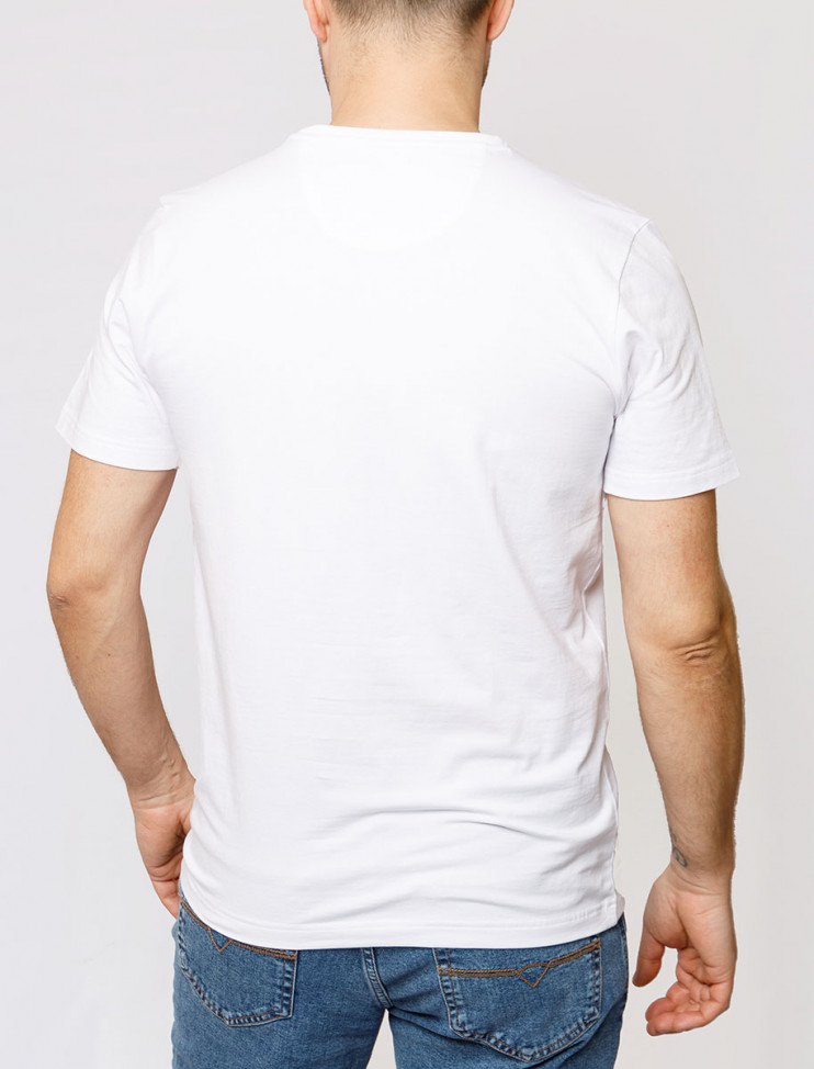 Мужская футболка короткий рукав Pierre Cardin C5 20810.2057/1019 3 290 руб. 3 290 руб.