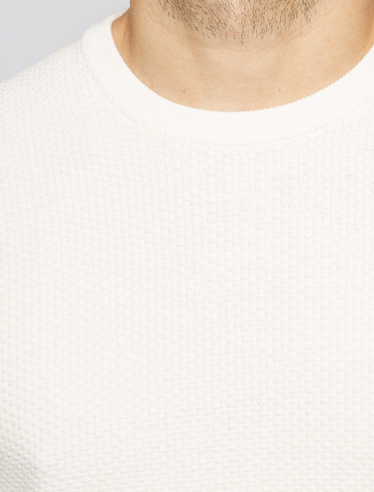 Джемпер круглый ворот PIERRE CARDIN C5 51000.5065/1006