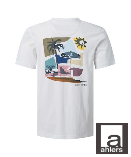 Мужская футболка короткий рукав  C5 21500.2120/1010 3 495 руб.  3 495 руб. 