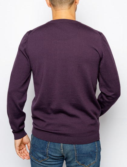 Мужской джемпер круглый ворот PIERRE CARDIN C5 50300.5018/4302