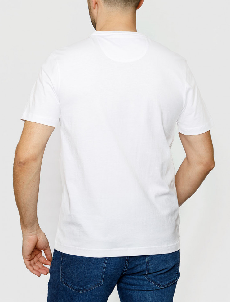 Мужская футболка короткий рукав Pierre Cardin C5 20820.2060/1019 3 290 руб. 3 290 руб.