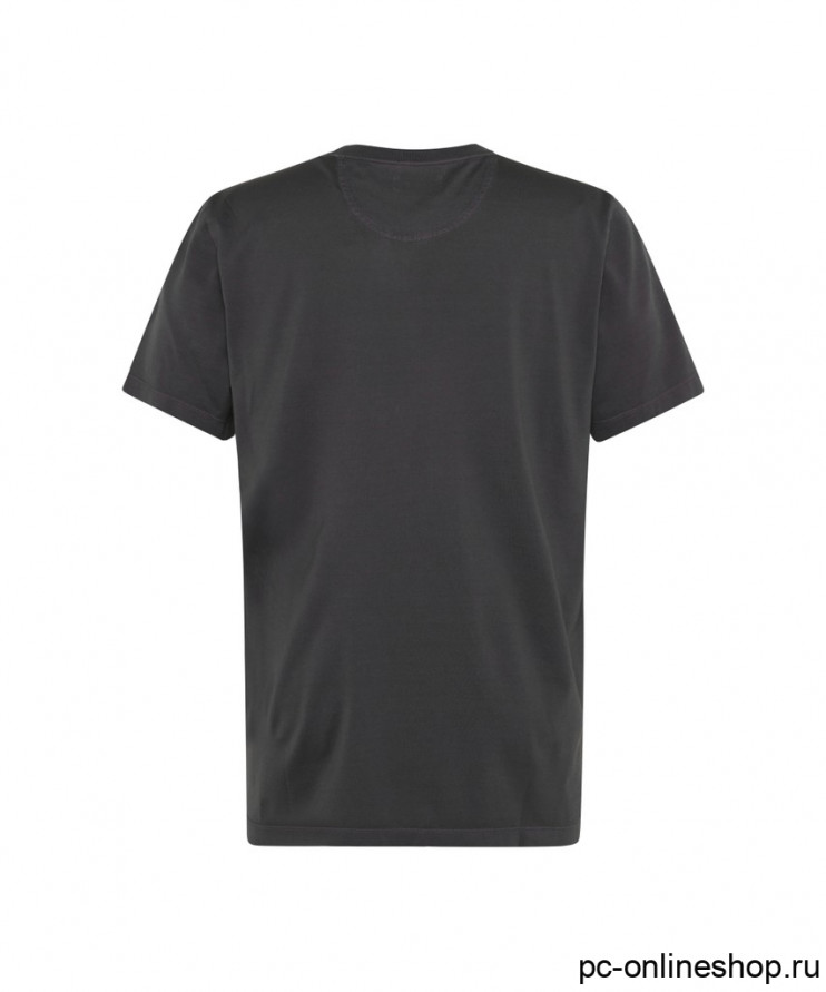 Мужская футболка короткий рукав Pierre Cardin C5 22400.3105/9314  
