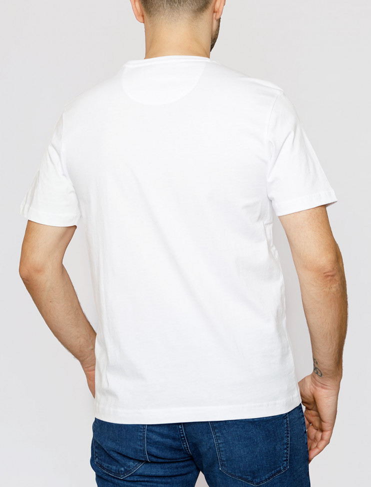 Мужская футболка короткий рукав Pierre Cardin C5 20820.2060/8119 3 290 руб. 3 290 руб.