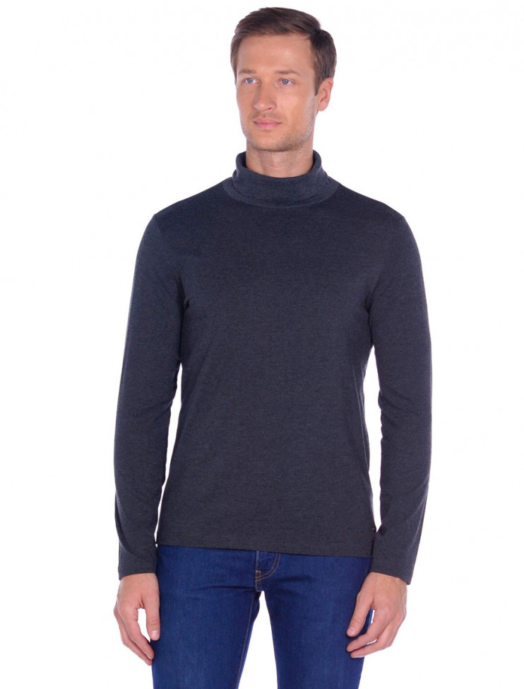 Мужская водолазка Pierre Cardin Futureflex 53273/000/72315/2100 2 490 руб.  2 490 руб. 