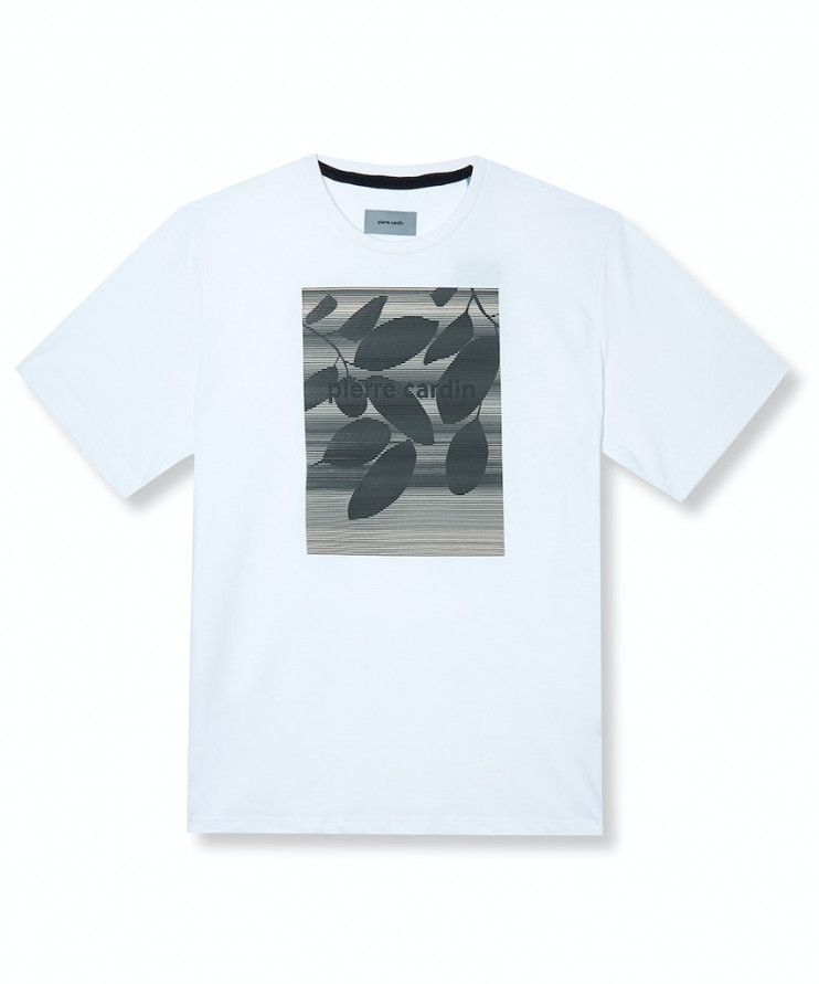 Мужская футболка короткий рукав Pierre Cardin C5 20830.2060/1019 3 290 руб.  3 290 руб.