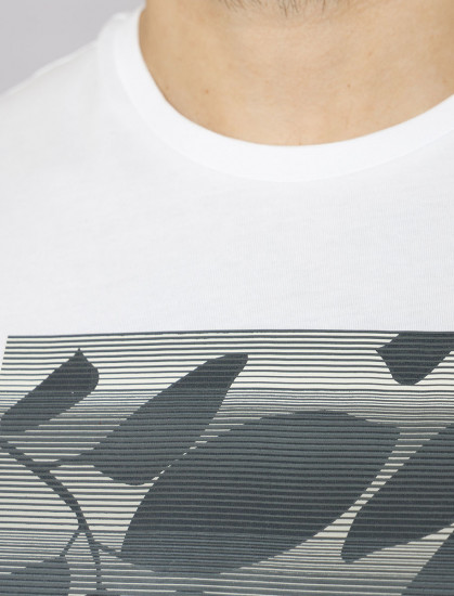 Мужская футболка короткий рукав Pierre Cardin C5 20830.2060/1019