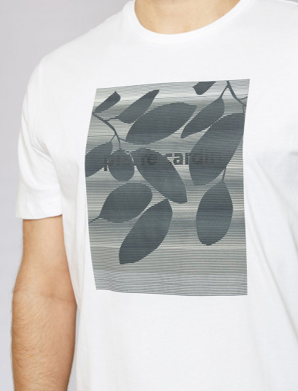 Мужская футболка короткий рукав Pierre Cardin C5 20830.2060/1019