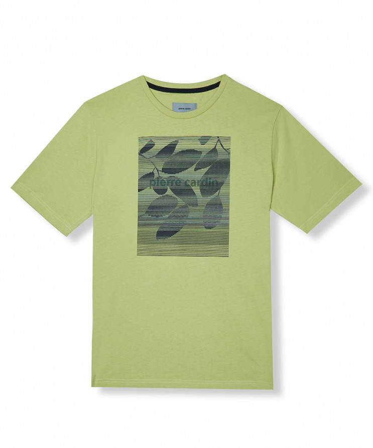 Мужская футболка короткий рукав Pierre Cardin C5 20830.2060/5109 3 290 руб.  3 290 руб.