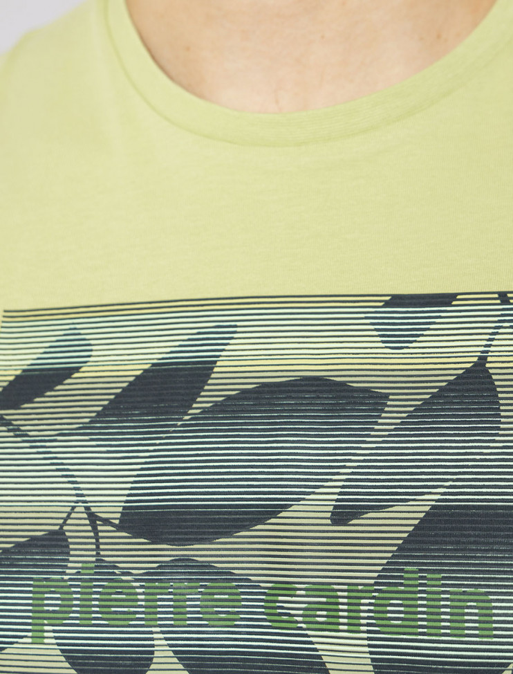 Мужская футболка короткий рукав Pierre Cardin C5 20830.2060/5109 3 290 руб.  3 290 руб.