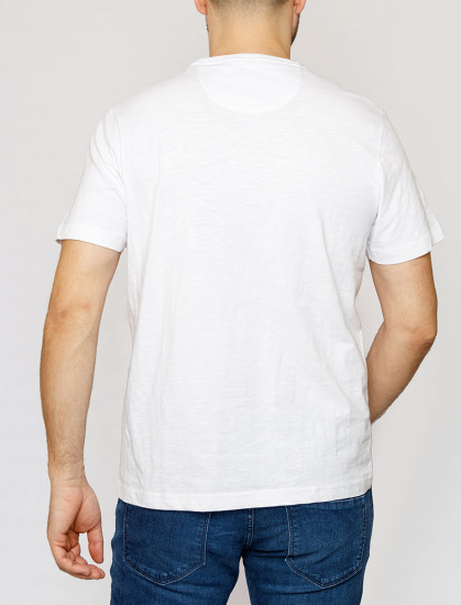 Мужская футболка короткий рукав Pierre Cardin C5 20840.2059/1019