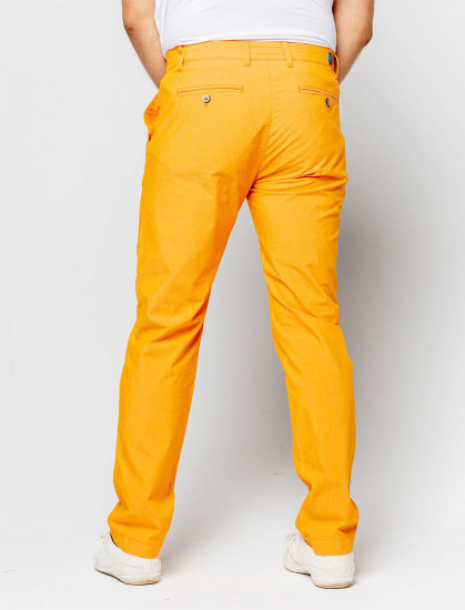 Мужские брюки чинос Pierre Cardin Lyon Futureflex 33757/000/02450/46