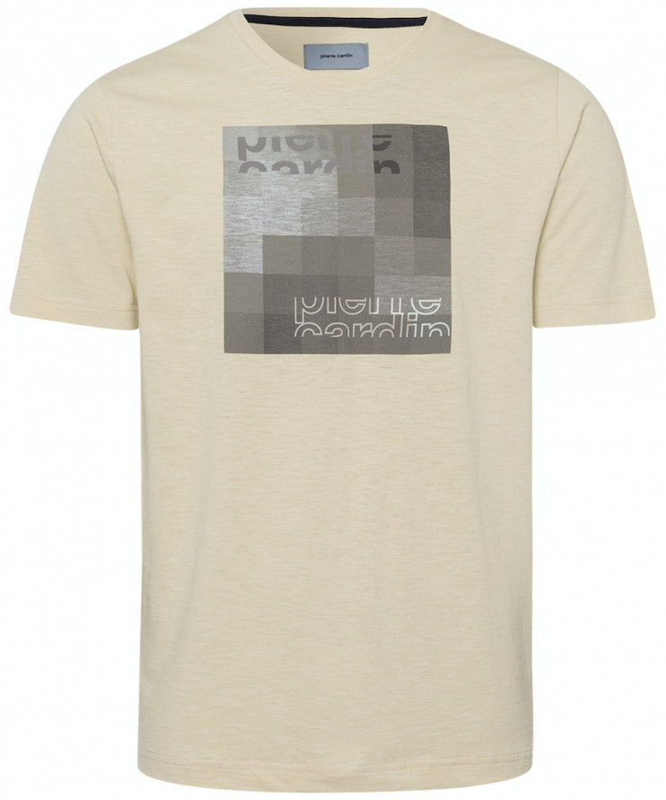 Мужская футболка короткий рукав Pierre Cardin C5 20840.2059/1025 3 290 руб. 3 290 руб.