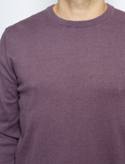 Джемпер круглый ворот PIERRE CARDIN C5 51020.5064/7209