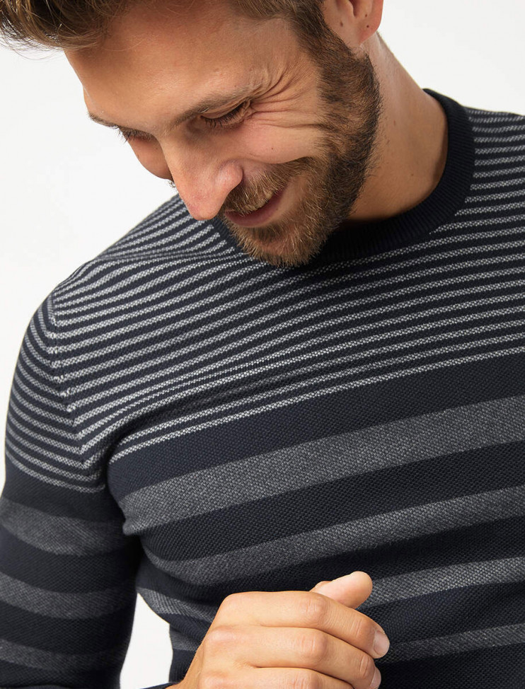 Мужской джемпер Pierre Cardin Futureflex 55870/000/02552/3000 5 490 руб. 5 490 руб.