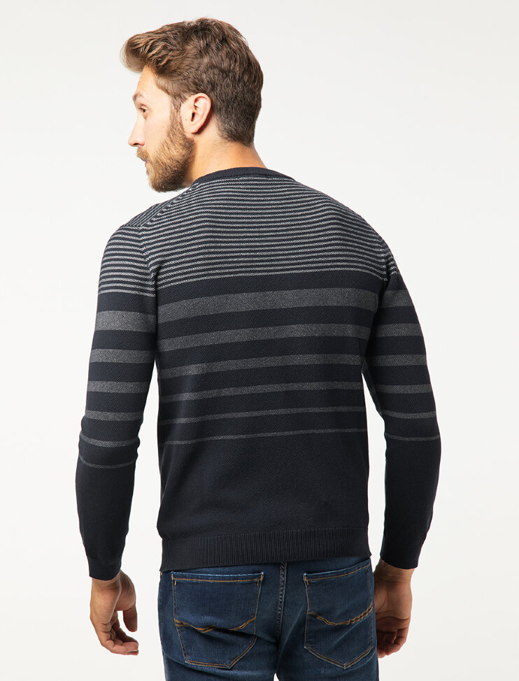 Мужской джемпер Pierre Cardin Futureflex 55870/000/02552/3000 5 490 руб. 5 490 руб.