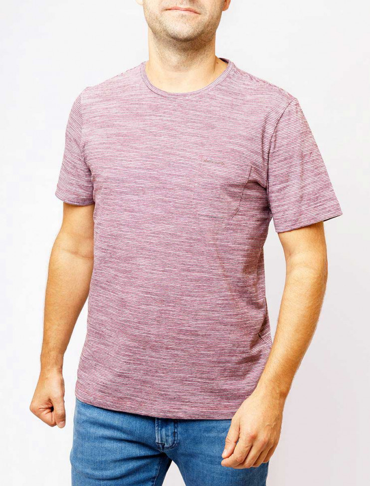 Мужская футболка короткий рукав Pierre Cardin C5 20140.2009/4310 3 990 руб. 3 990 руб.