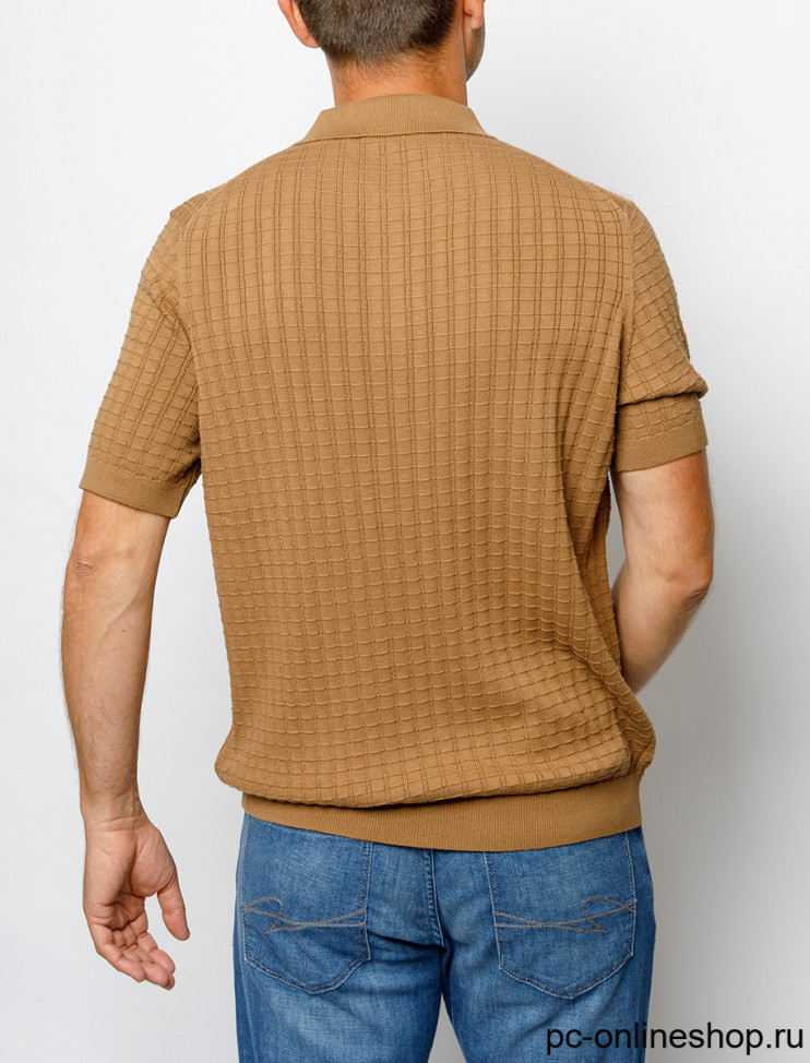 Мужское поло короткий рукав Pierre Cardin C5 51964.5146/8111 14 490 руб.  14 490 руб. 