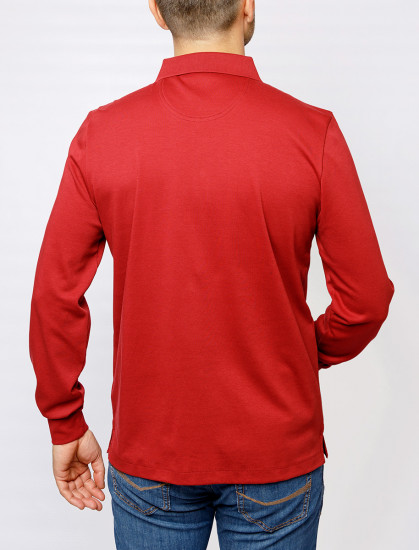 Мужское поло длинный рукав PIERRE CARDIN C5 30304.3005/4221