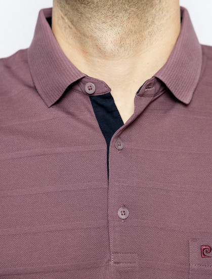 Мужское поло короткий рукав C5 21524.2123/7209