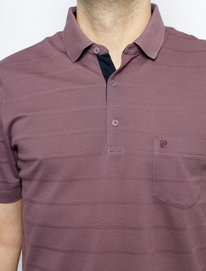 Мужское поло короткий рукав C5 21524.2123/7209