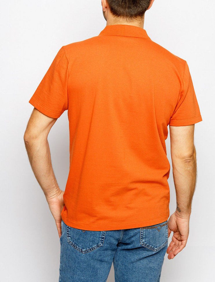 Мужское поло короткий рукав PIERRE CARDIN C5 20784.2055/3206 4 790 руб. 4 790 руб.