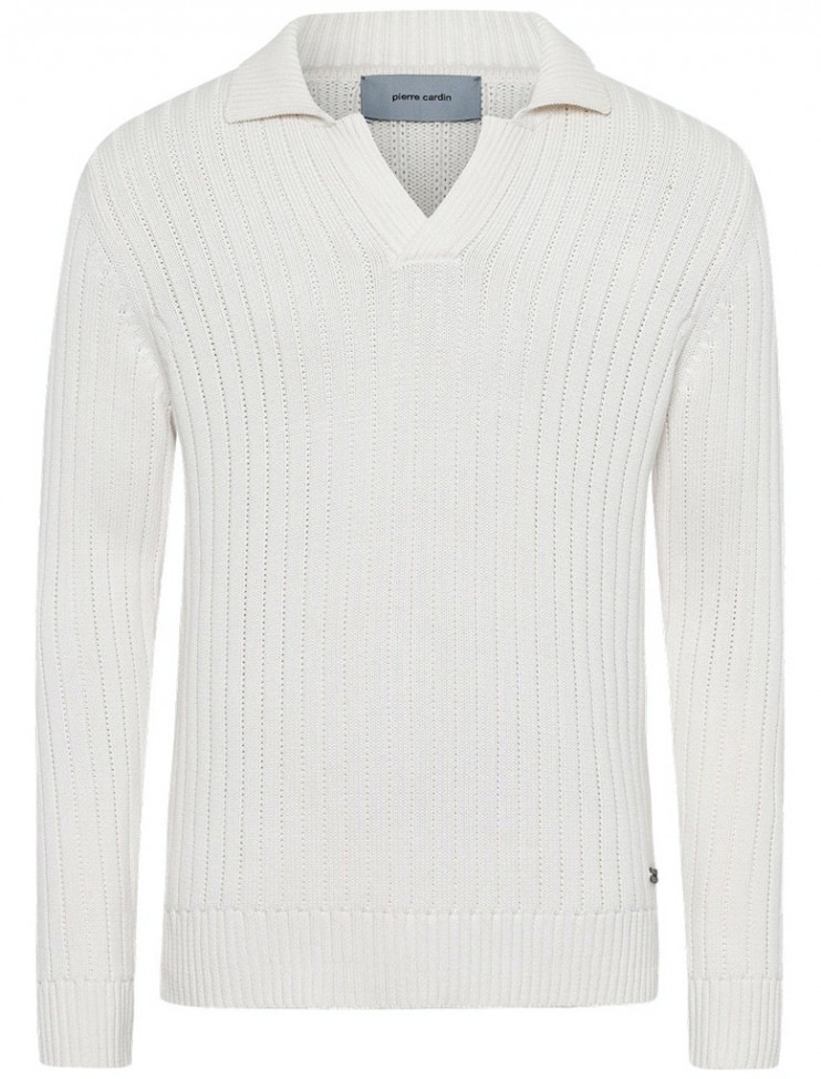 Мужской джемпер Pierre Cardin C5 50526.5033/1006 7 990 руб.  7 990 руб.