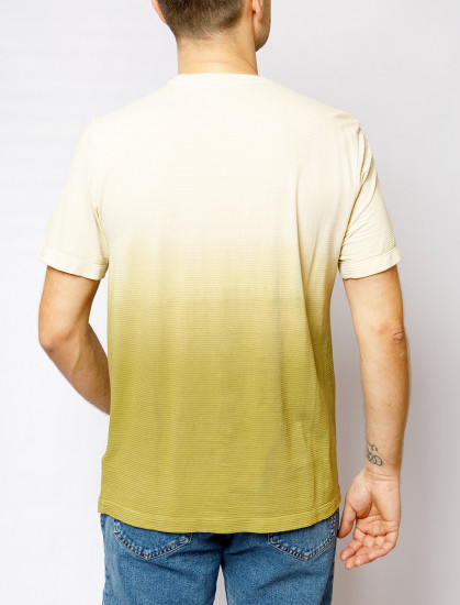 Мужская футболка короткий рукав PIERRE CARDIN C5 20790.2056/5106