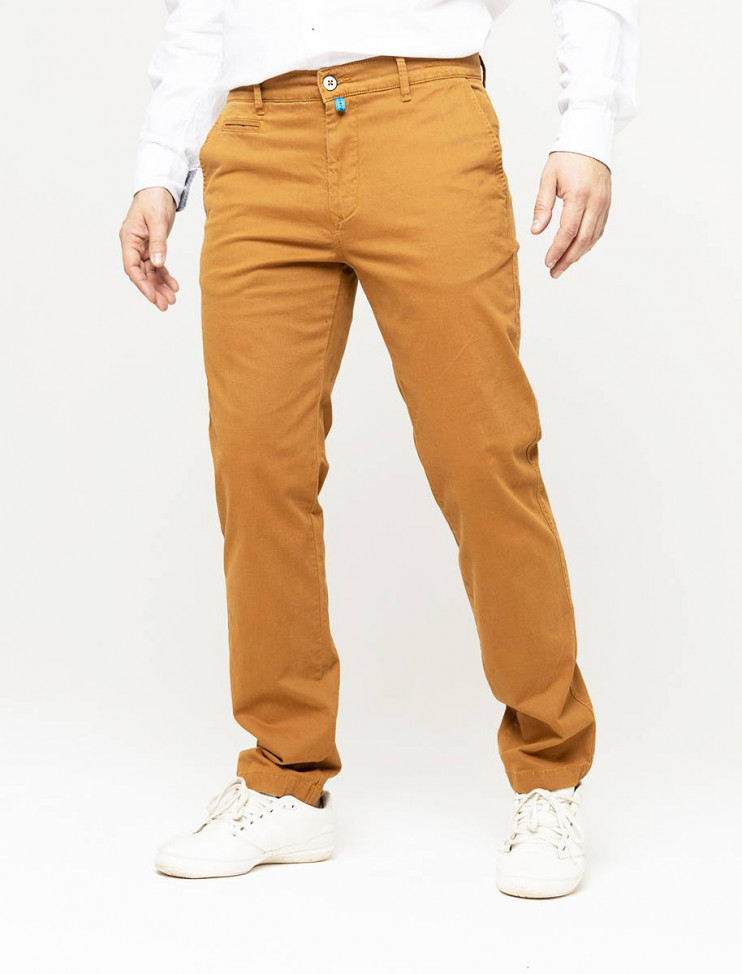 Мужские брюки чинос Pierre Cardin Lyon Futureflex 33757/000/02233/45 5 247 руб. 5 247 руб.