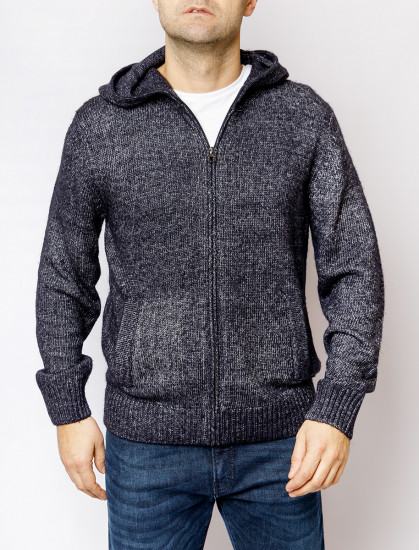 Мужская толстовка PIERRE CARDIN C5 50746.5047/6000