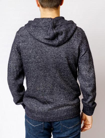 Мужская толстовка PIERRE CARDIN C5 50746.5047/6000