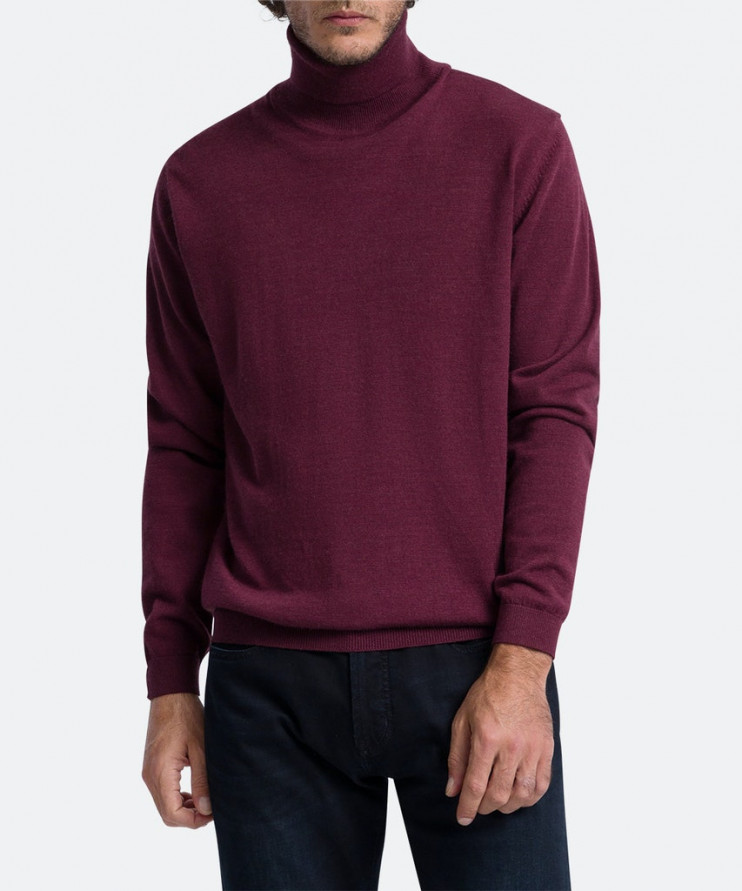 Мужская водолазка PIERRE CARDIN C5 50303.5018/4303 14 490 руб. 14 490 руб.