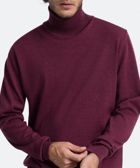 Мужская водолазка PIERRE CARDIN C5 50303.5018/4303