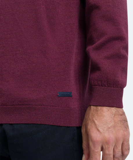 Мужская водолазка PIERRE CARDIN C5 50303.5018/4303