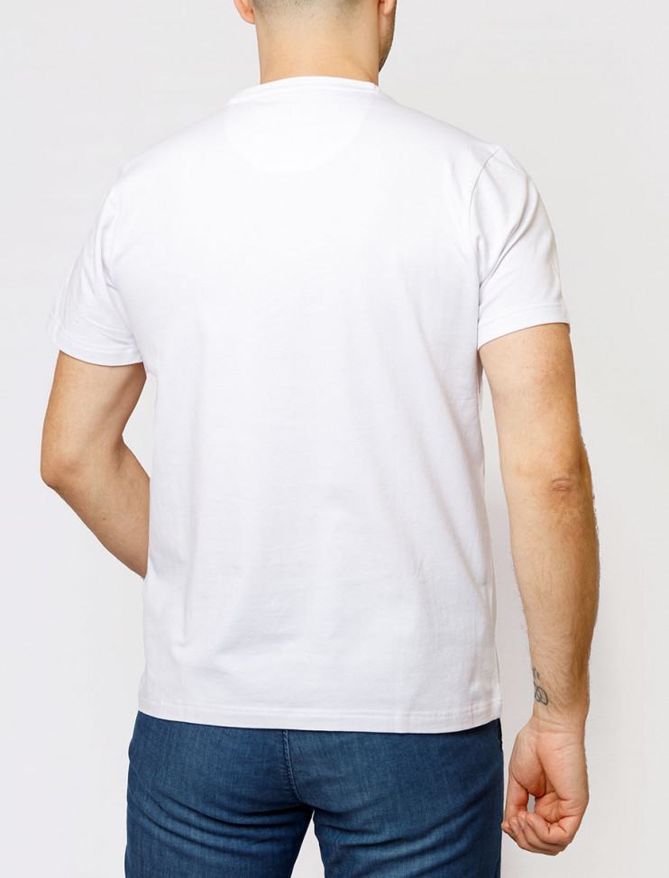 Мужская футболка короткий рукав Pierre Cardin C5 20800.2057/1019 3 290 руб. 3 290 руб.