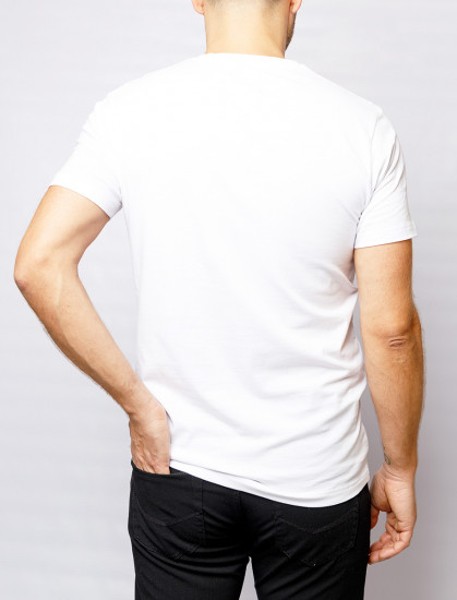 Мужская футболка короткий рукав 2 шт  PIERRE CARDIN C5 29990.9000/1010