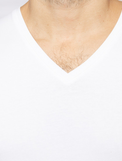 Мужская футболка короткий рукав 2 шт PIERRE CARDIN C5 29991.9000/1010