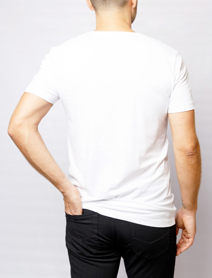 Мужская футболка короткий рукав 2 шт PIERRE CARDIN C5 29991.9000/1010