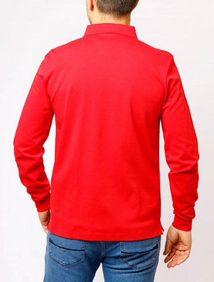 Мужское поло длинный рукав Pierre Cardin C5 30104.3005/4218