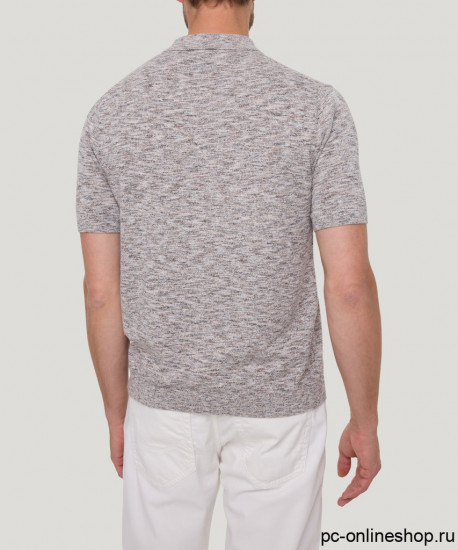 Мужское поло короткий рукав Pierre Cardin C5 51364.5101/8203