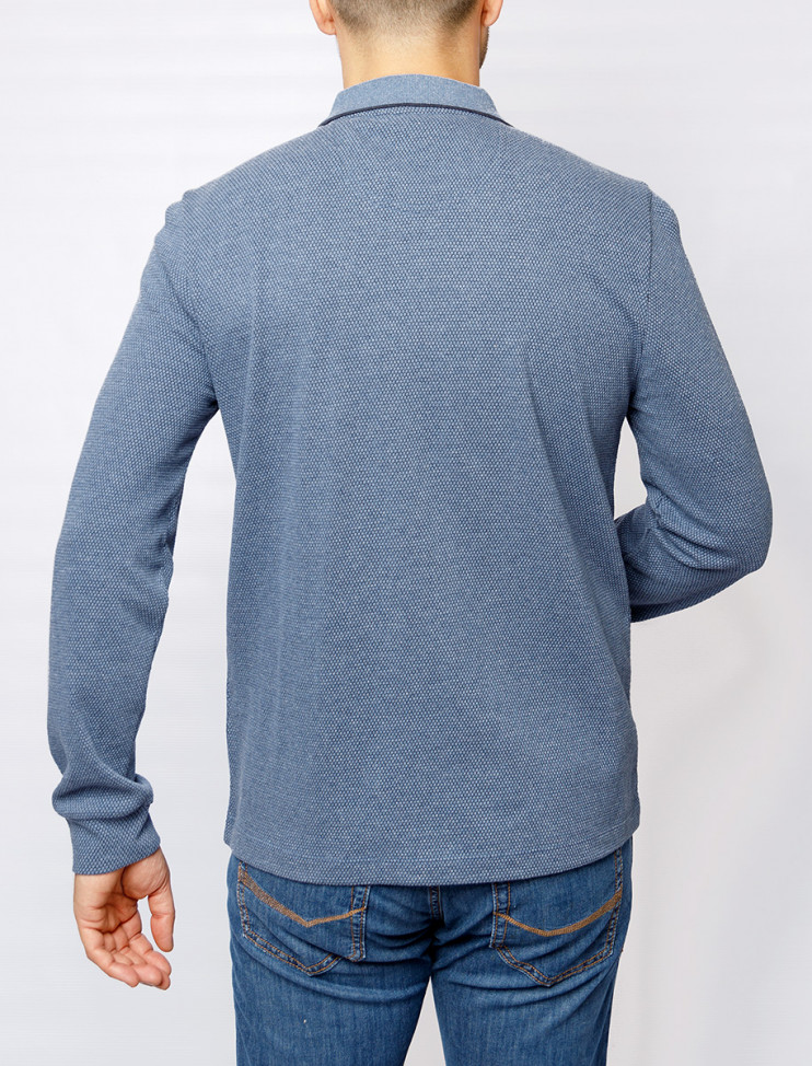 Мужское поло длинный рукав PIERRE CARDIN C5 30365.3029/6124 8 993 руб. 8 993 руб.