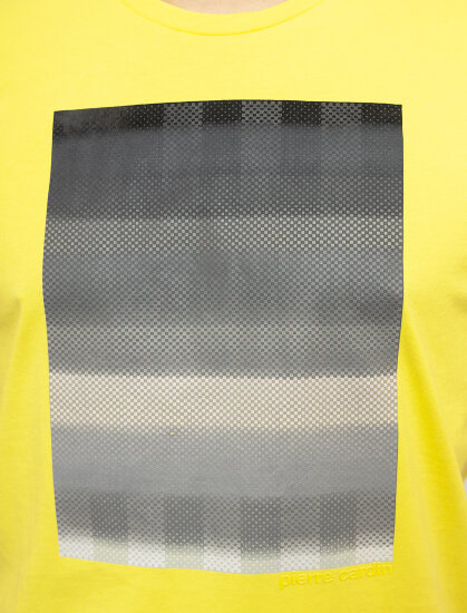 Мужская футболка короткий рукав Pierre Cardin Futureflex 52620/000/11272/4074