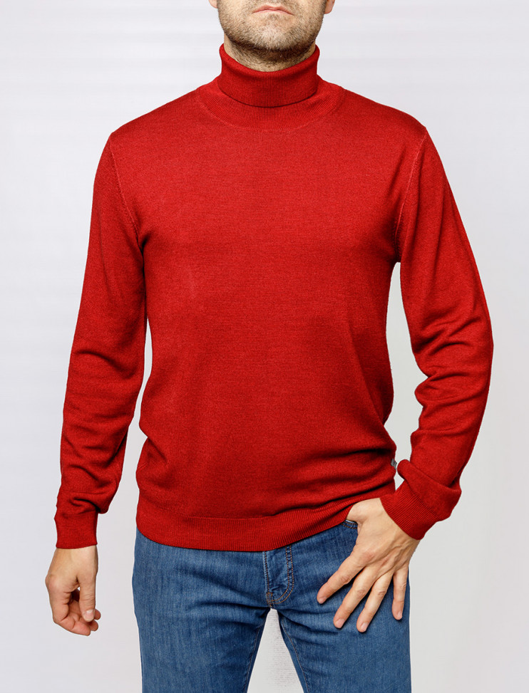 Мужская водолазка PIERRE CARDIN C5 50703.5037/4301 14 243 руб. 14 243 руб.