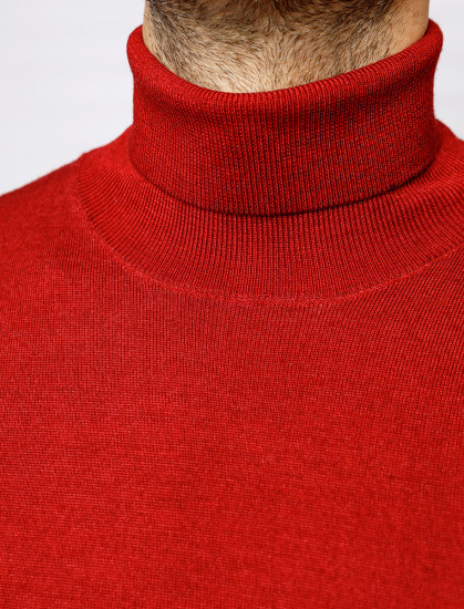 Мужская водолазка PIERRE CARDIN C5 50703.5037/4301