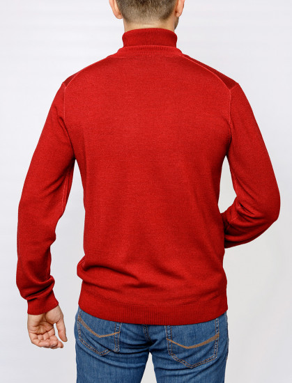 Мужская водолазка PIERRE CARDIN C5 50703.5037/4301