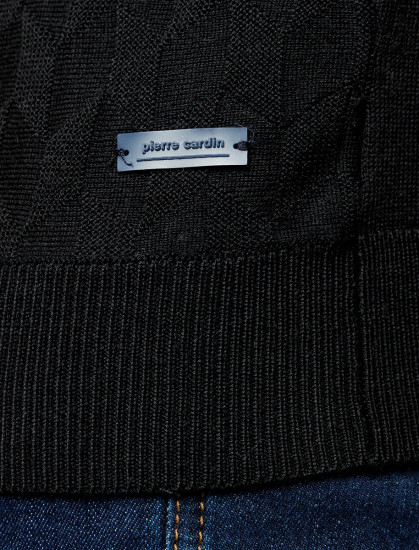 Мужская водолазка PIERRE CARDIN C5 50313.5019/9000