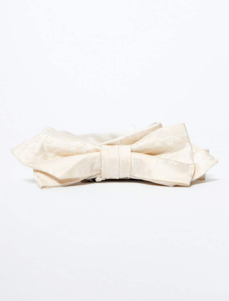 Мужская бабочка Pierre Cardin 05590/000/07006/9012 2 290 руб. 2 290 руб.